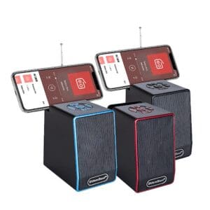 Boombest Ln-856bt Wireless Bluetooth Speaker With Radio